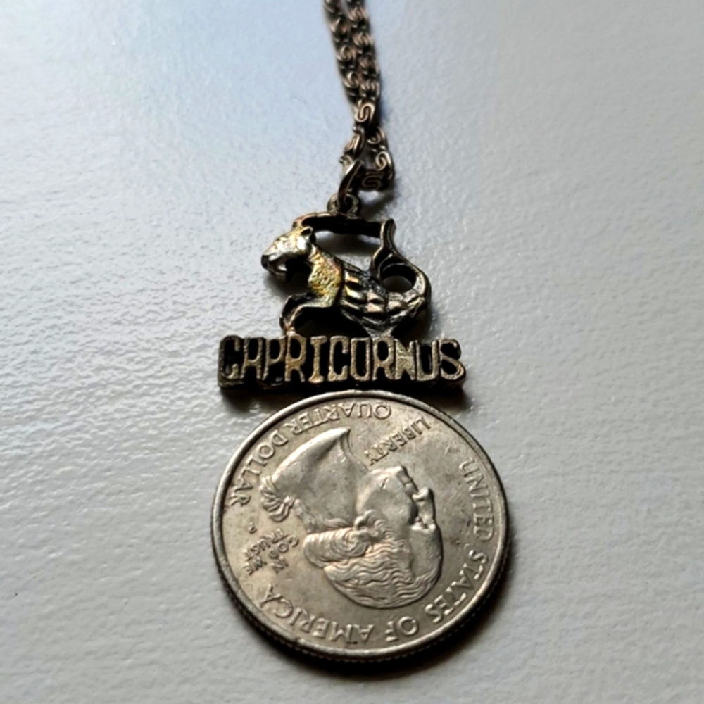 Capricious Necklace - Picture 4 of 4